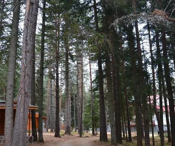 пенчеви, кк. чарк Holiday home *